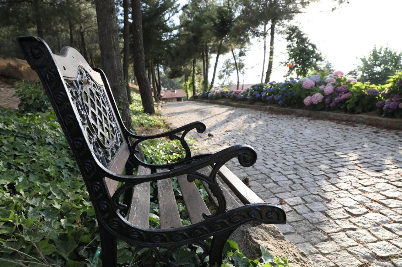 O Casario Bed & Breakfast Mirandela Eksteriør bilde